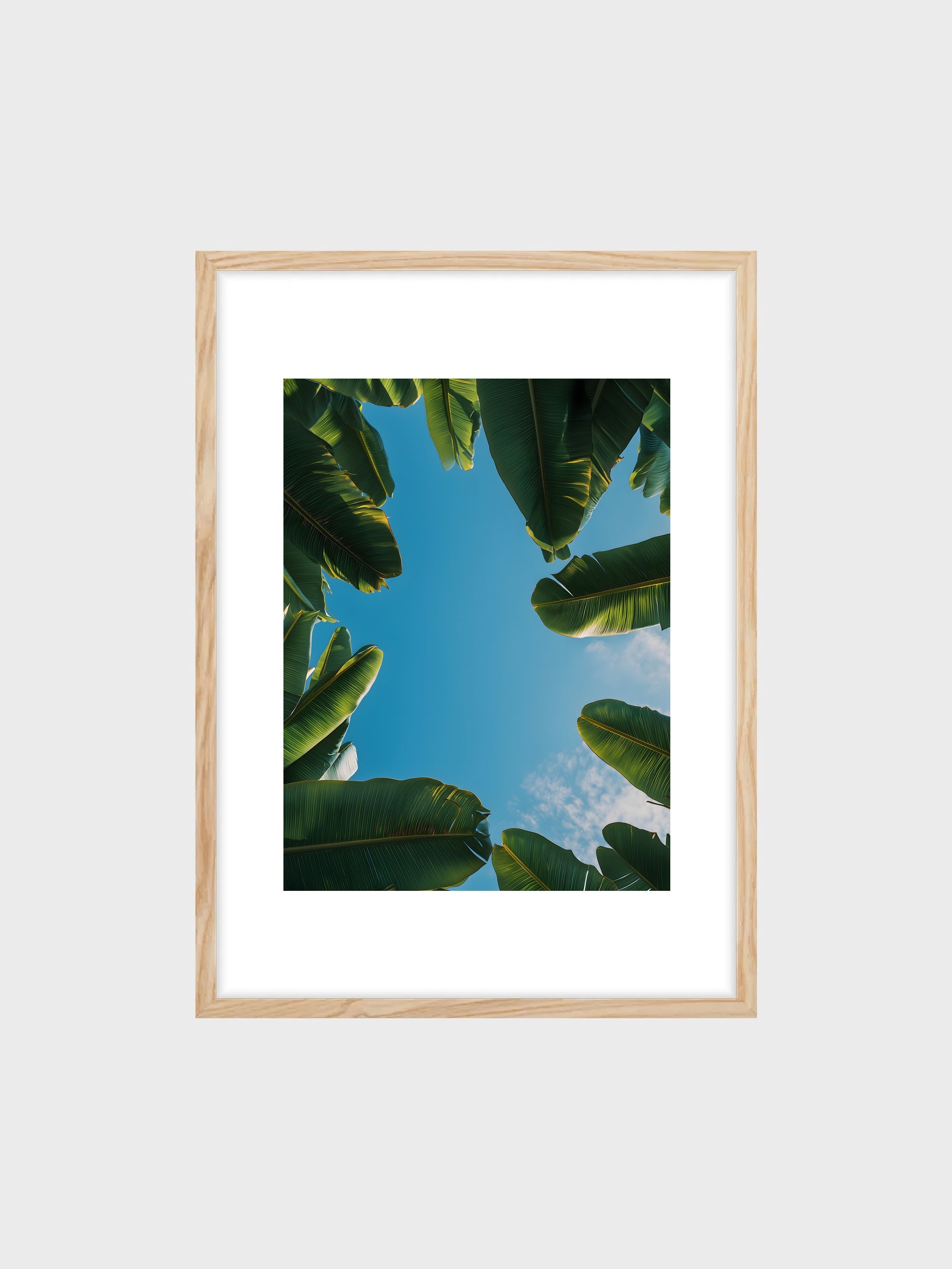 frame_mockup