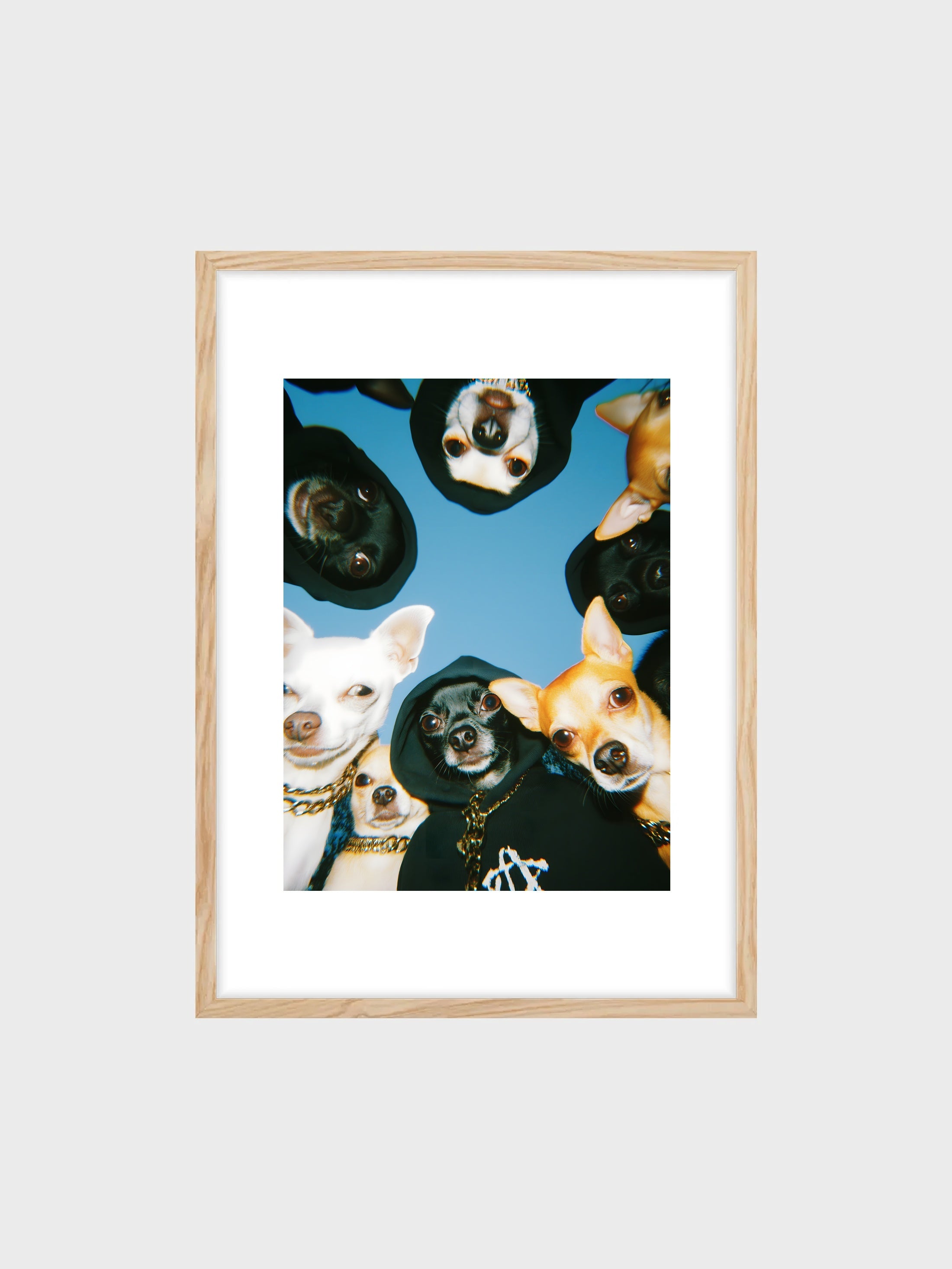frame_mockup