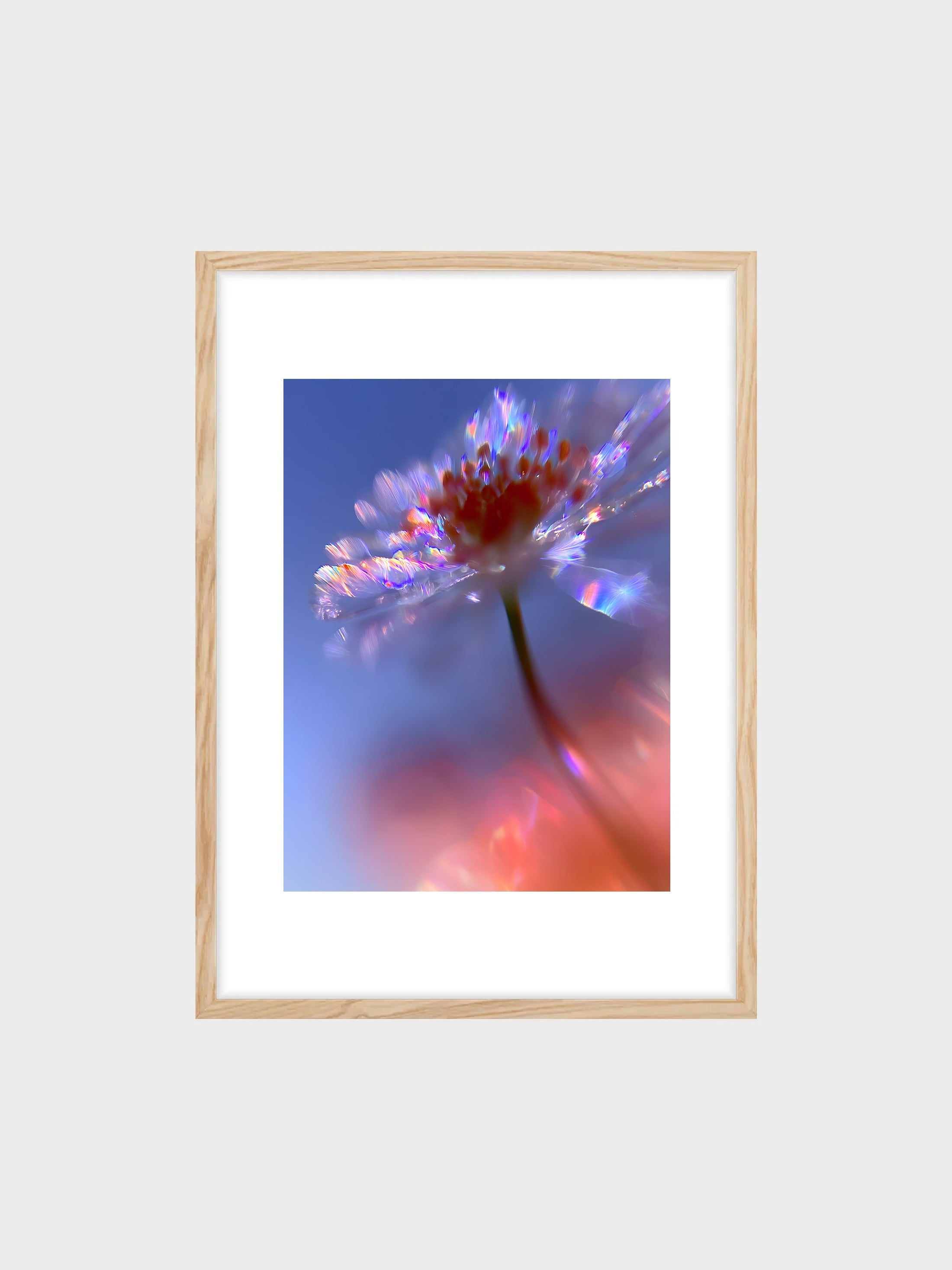 frame_mockup